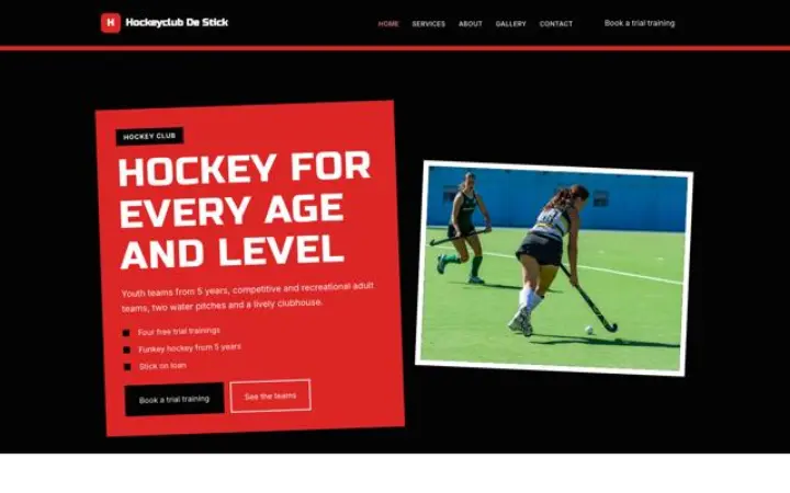 Verkkosivut alalle: maahockeyseura