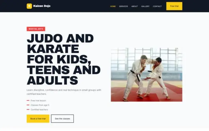 Teema Kaizen Dojo